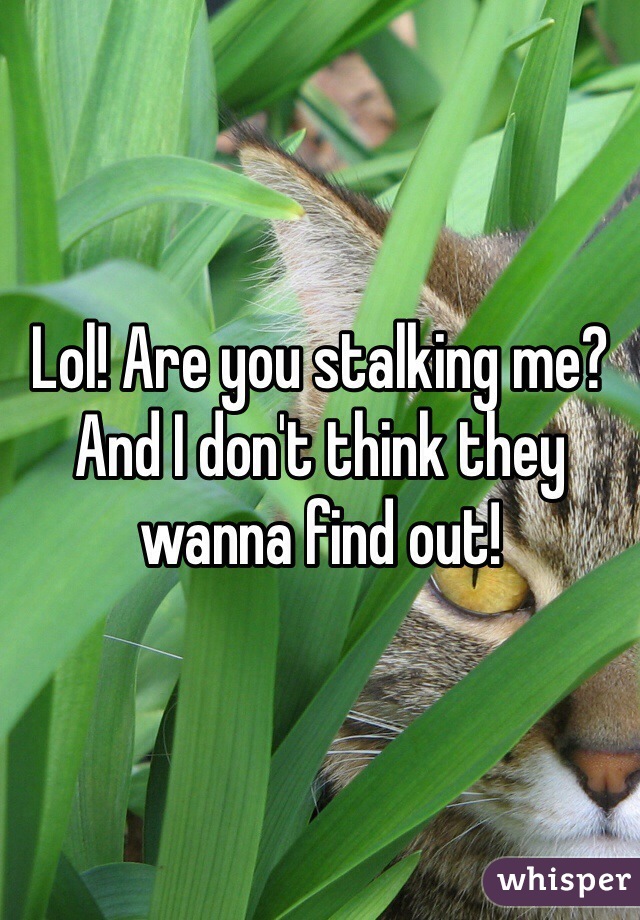 Lol! Are you stalking me? And I don't think they wanna find out! 