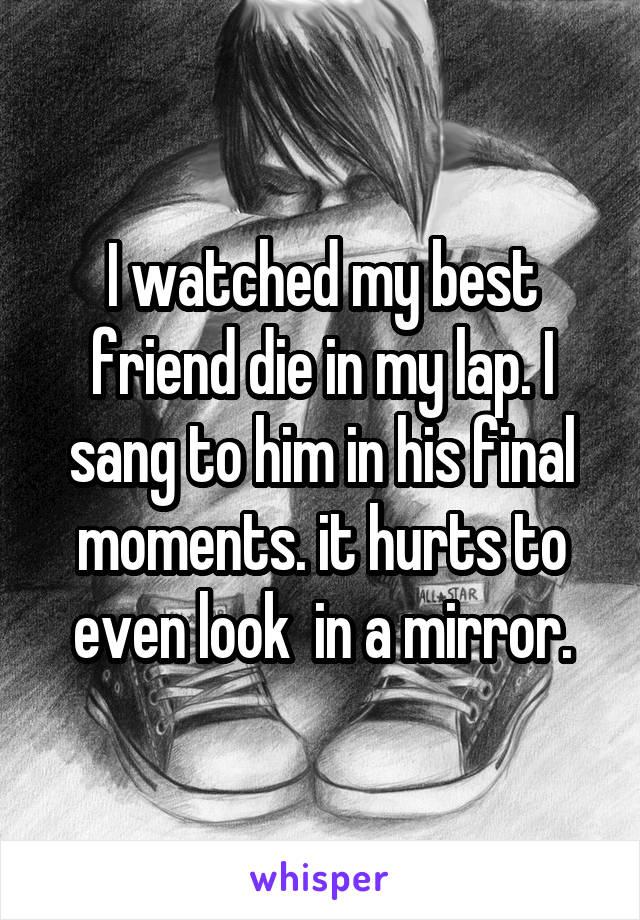 I watched my best friend die in my lap. I sang to him in his final moments. it hurts to even look  in a mirror.