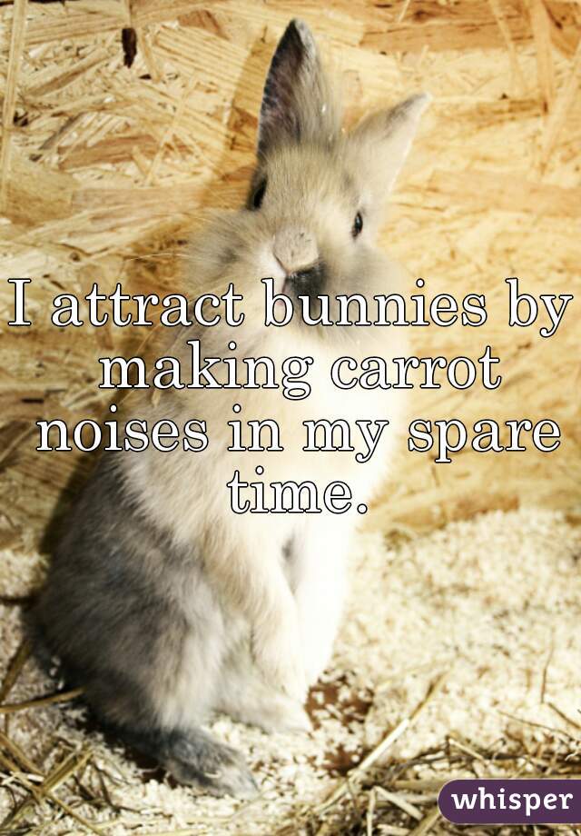 I attract bunnies by making carrot noises in my spare time.