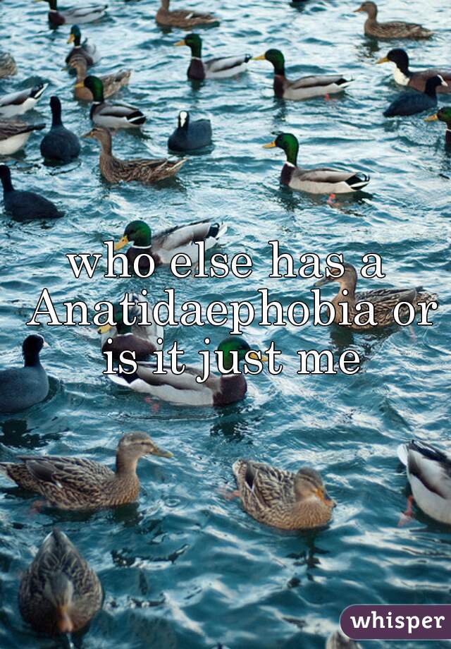 who else has a Anatidaephobia or is it just me