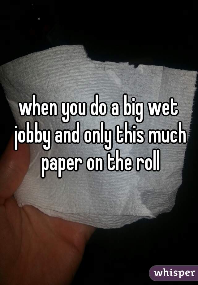 when you do a big wet jobby and only this much paper on the roll