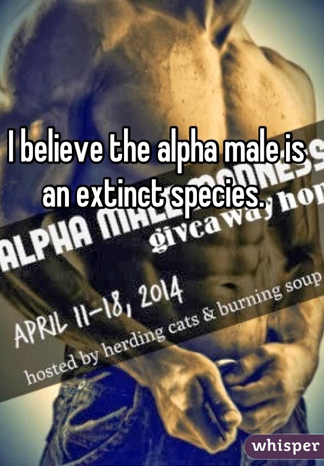 I believe the alpha male is an extinct species. 