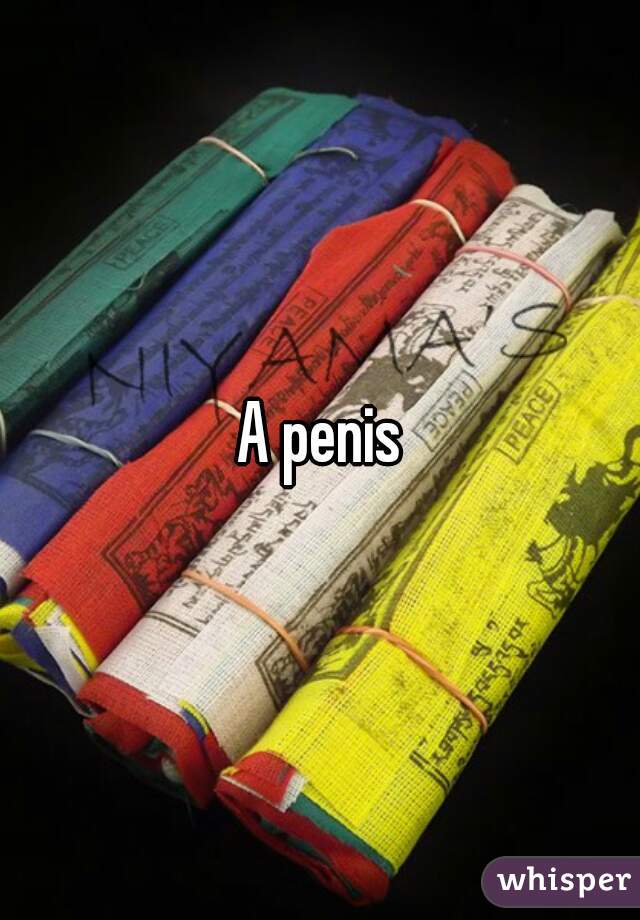 A penis