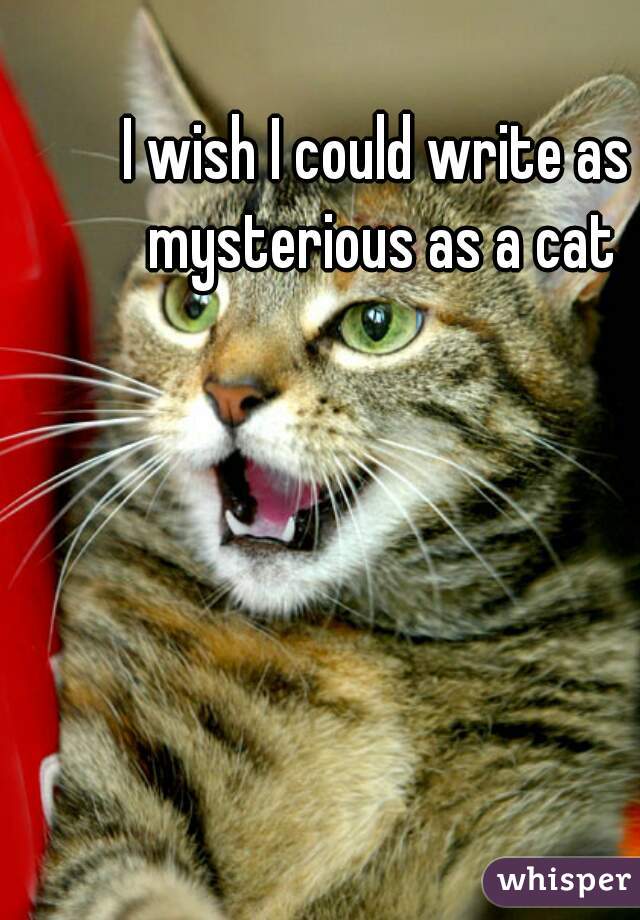 I wish I could write as mysterious as a cat