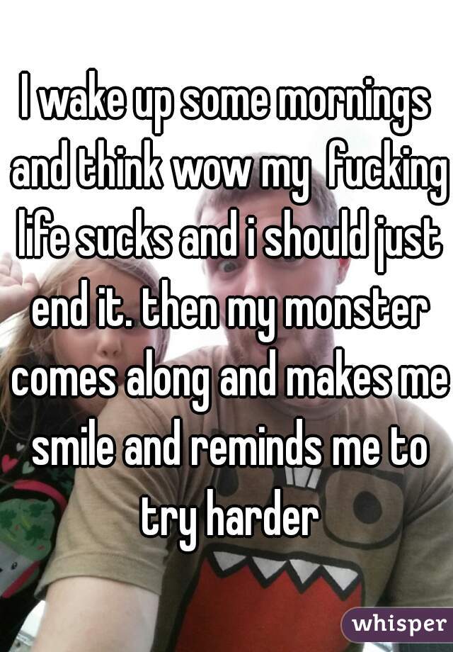 I wake up some mornings and think wow my  fucking life sucks and i should just end it. then my monster comes along and makes me smile and reminds me to try harder