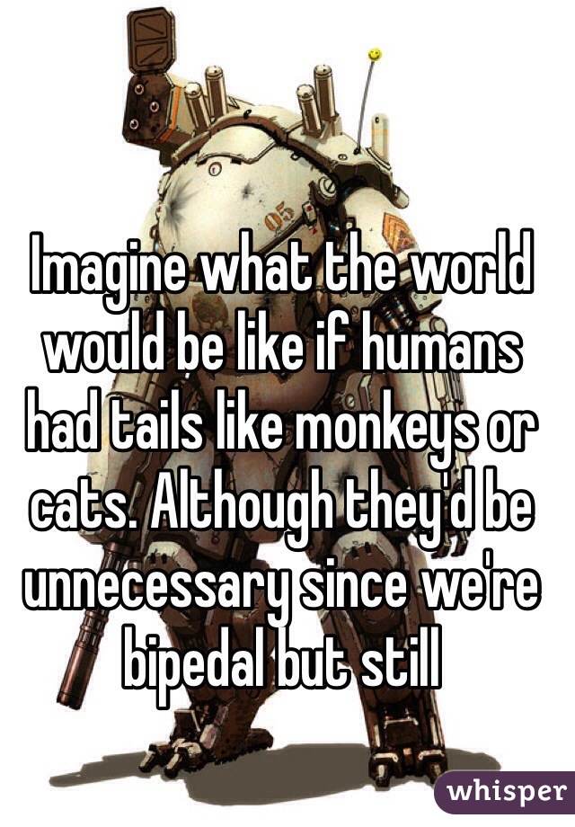 Imagine what the world would be like if humans had tails like monkeys or cats. Although they'd be unnecessary since we're bipedal but still 