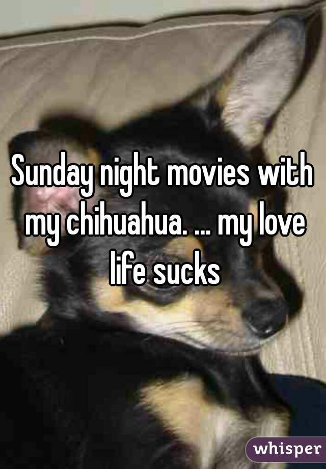 Sunday night movies with my chihuahua. ... my love life sucks