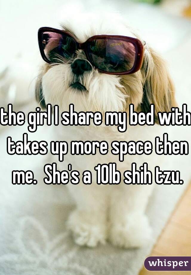 the girl I share my bed with takes up more space then me.  She's a 10lb shih tzu.