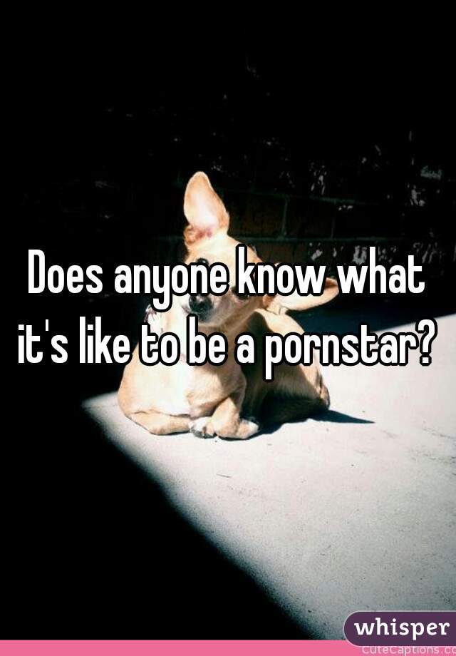 Does anyone know what it's like to be a pornstar? 