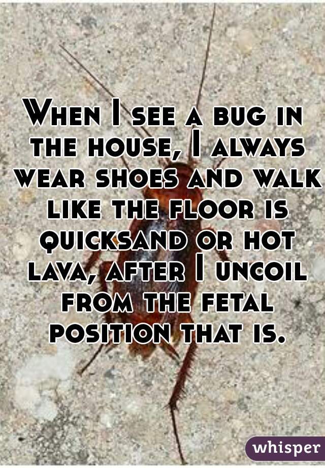 When I see a bug in the house, I always wear shoes and walk like the floor is quicksand or hot lava, after I uncoil from the fetal position that is.