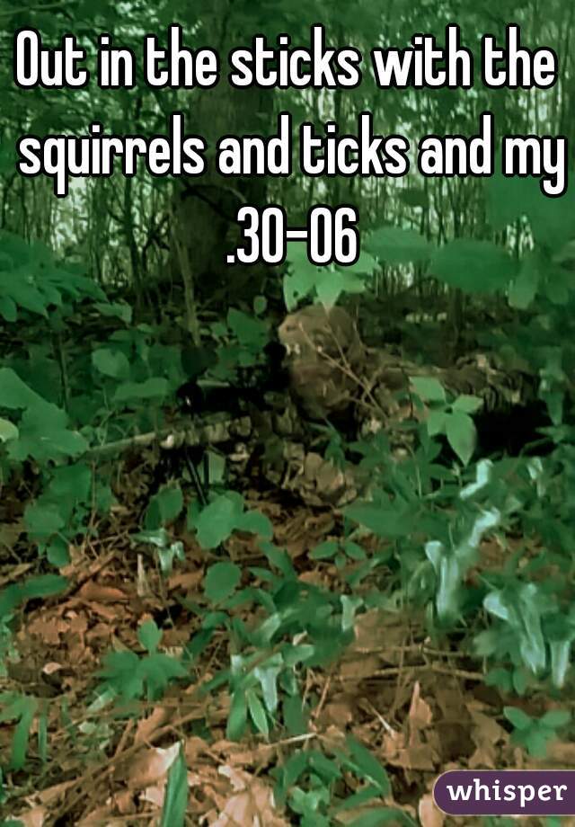 Out in the sticks with the squirrels and ticks and my .30-06