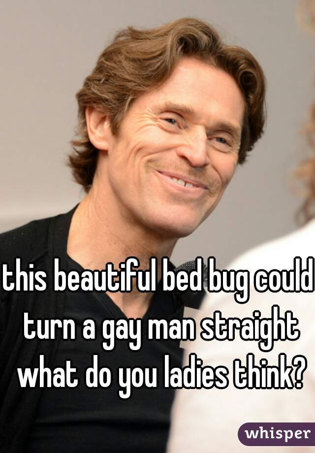 this beautiful bed bug could turn a gay man straight what do you ladies think?
  