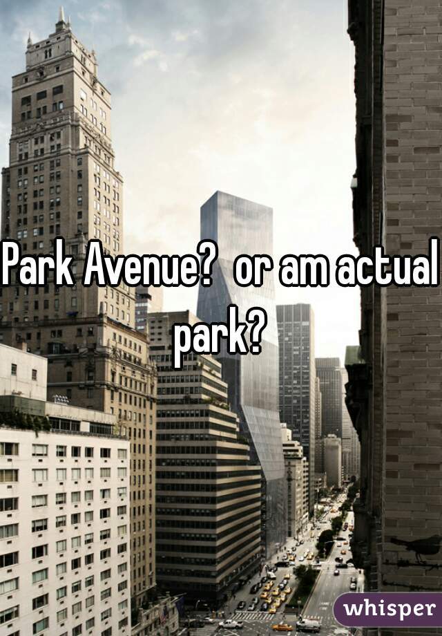 Park Avenue?  or am actual park? 