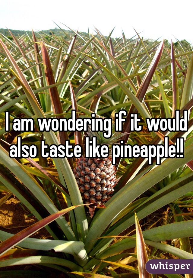 I am wondering if it would also taste like pineapple!! 