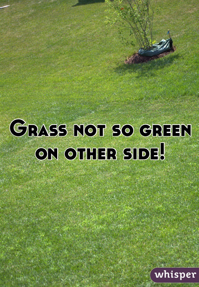 Grass not so green on other side!