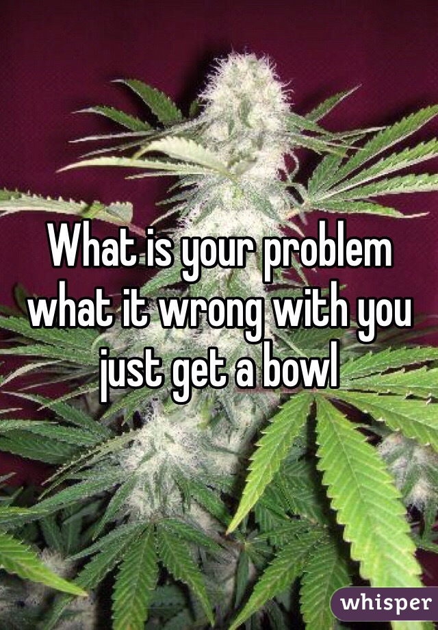 What is your problem what it wrong with you just get a bowl 