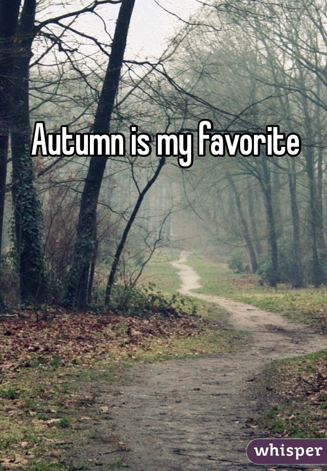 Autumn is my favorite 