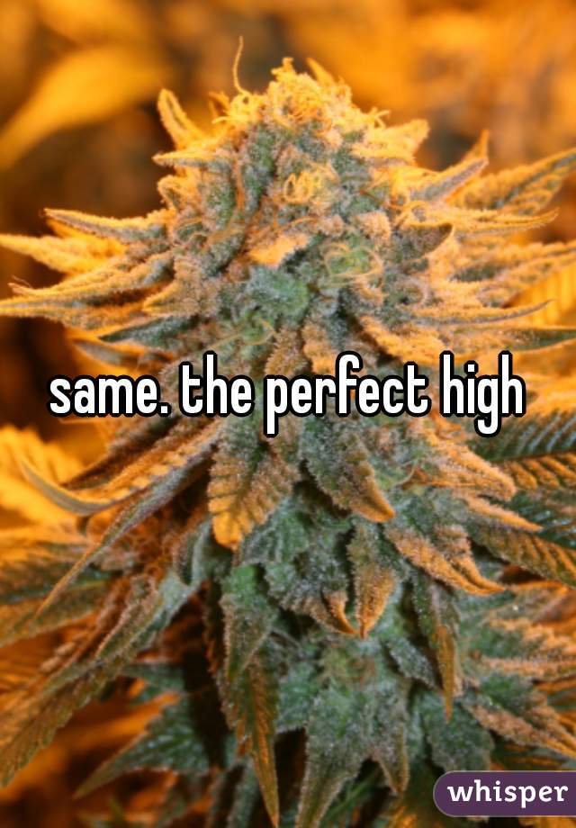 same. the perfect high