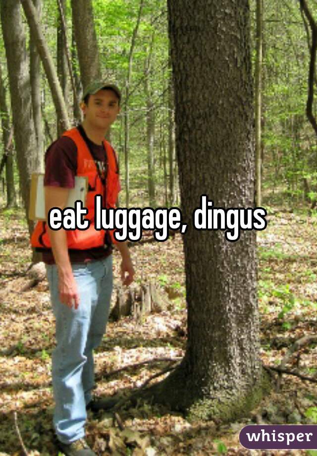 eat luggage, dingus