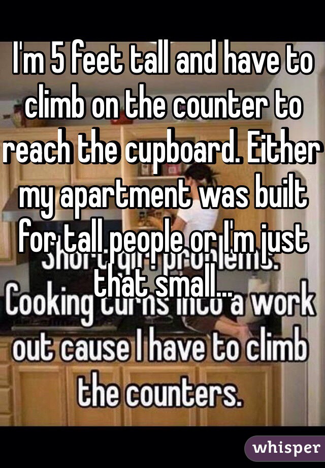 I'm 5 feet tall and have to climb on the counter to reach the cupboard. Either my apartment was built for tall people or I'm just that small... 