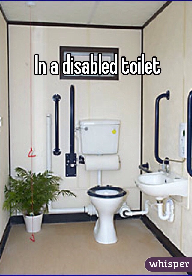 In a disabled toilet 