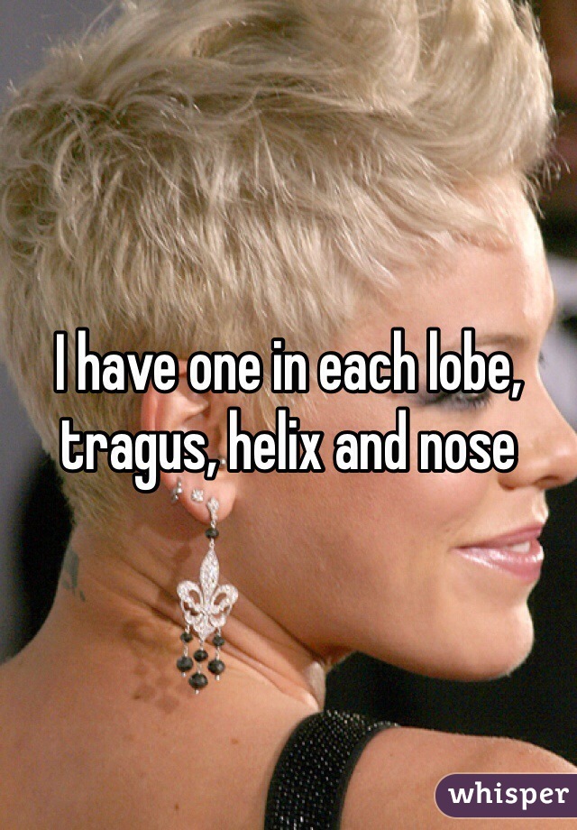 I have one in each lobe, tragus, helix and nose