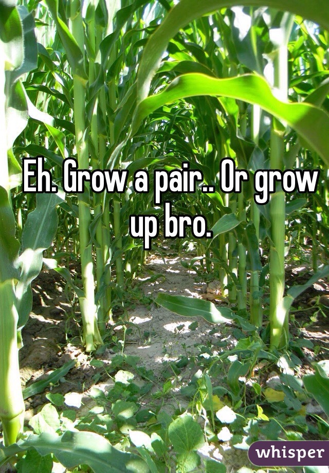 Eh. Grow a pair.. Or grow up bro.