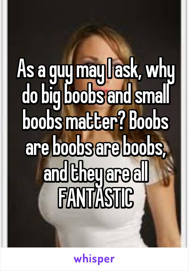 As a guy may I ask, why do big boobs and small boobs matter? Boobs are boobs are boobs, and they are all FANTASTIC