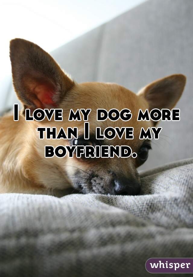 I love my dog more than I love my boyfriend.   