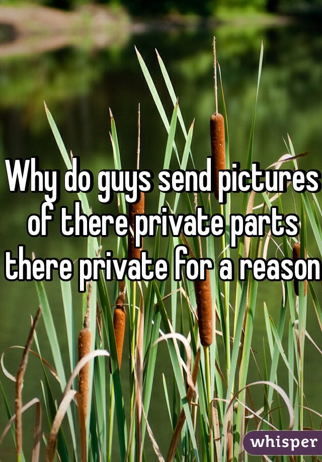 Why do guys send pictures of there private parts there private for a reason