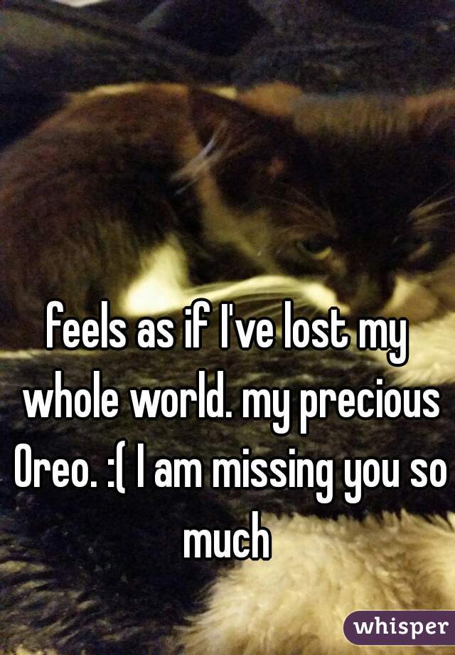 feels as if I've lost my whole world. my precious Oreo. :( I am missing you so much 