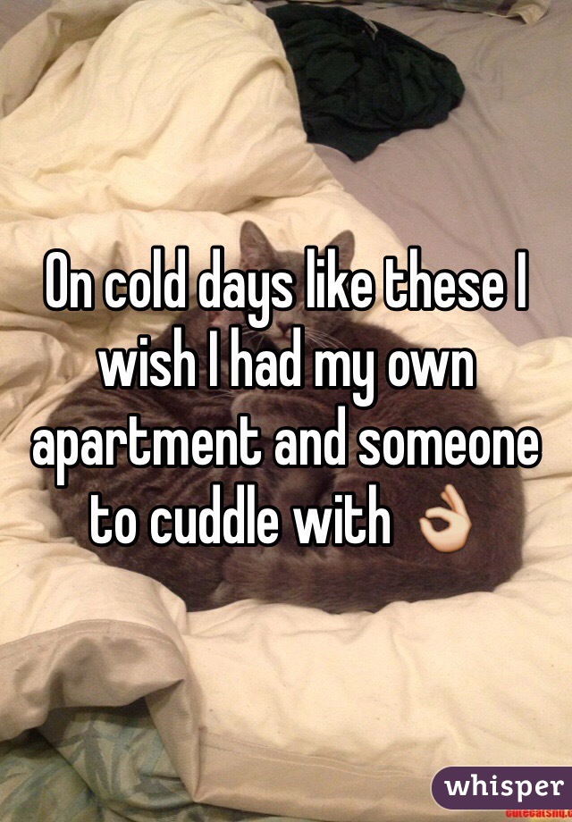 On cold days like these I wish I had my own apartment and someone to cuddle with 👌