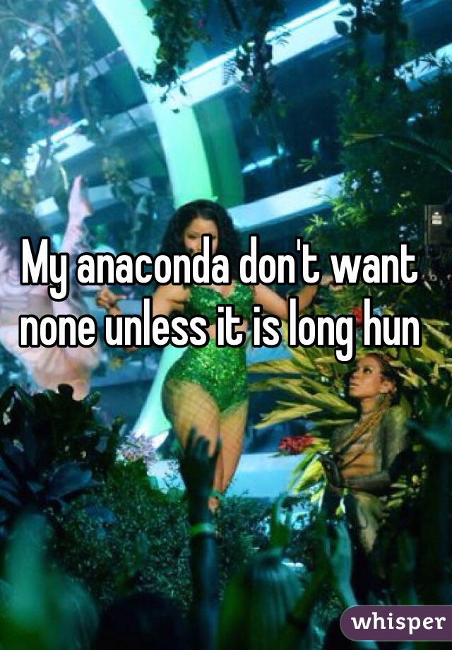 My anaconda don't want none unless it is long hun