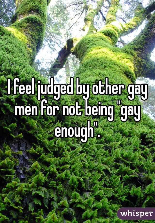 I feel judged by other gay men for not being "gay enough".