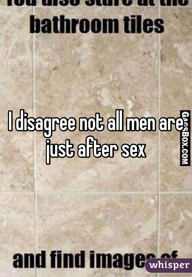 I disagree not all men are just after sex