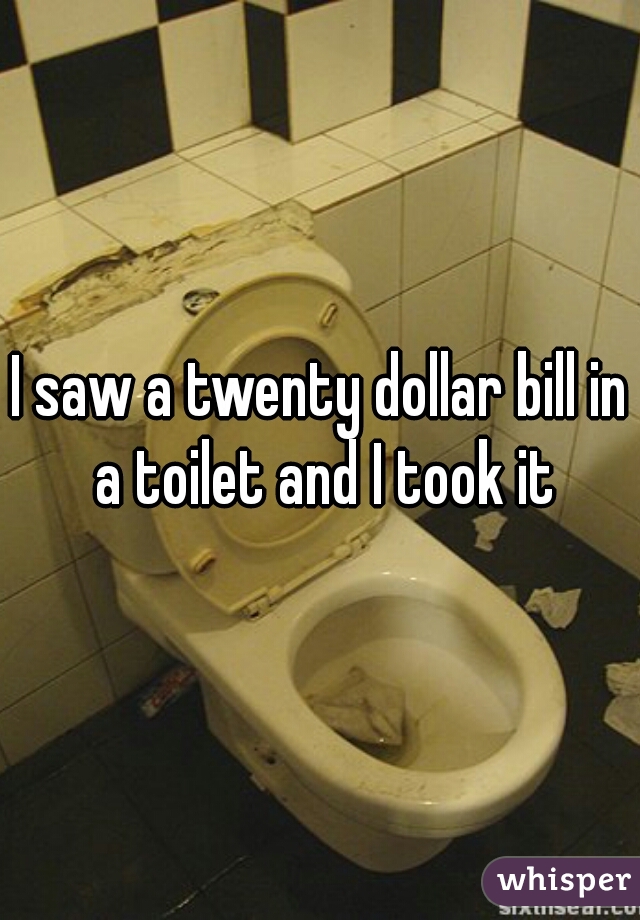 I saw a twenty dollar bill in a toilet and I took it