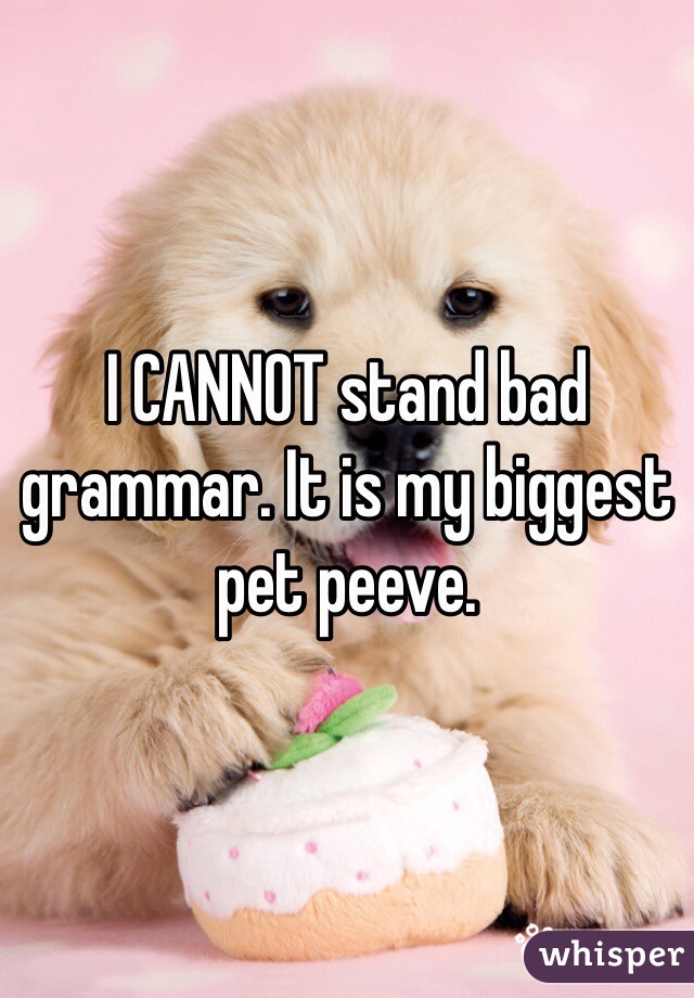 I CANNOT stand bad grammar. It is my biggest pet peeve. 