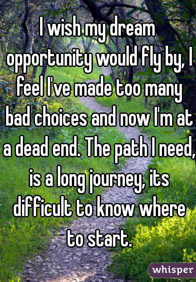 I wish my dream opportunity would fly by, I feel I've made too many bad choices and now I'm at a dead end. The path I need, is a long journey, its difficult to know where to start.