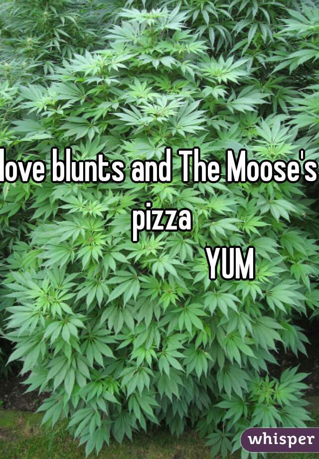 love blunts and The Moose's pizza
                      YUM