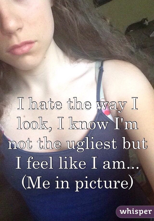 I hate the way I look, I know I'm not the ugliest but I feel like I am... (Me in picture)