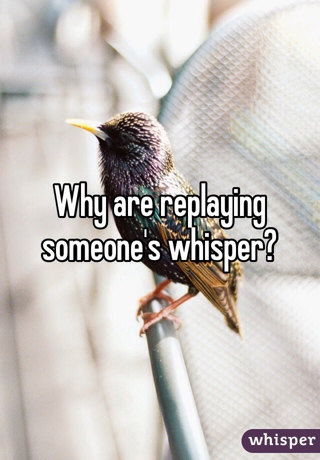 Why are replaying someone's whisper?
