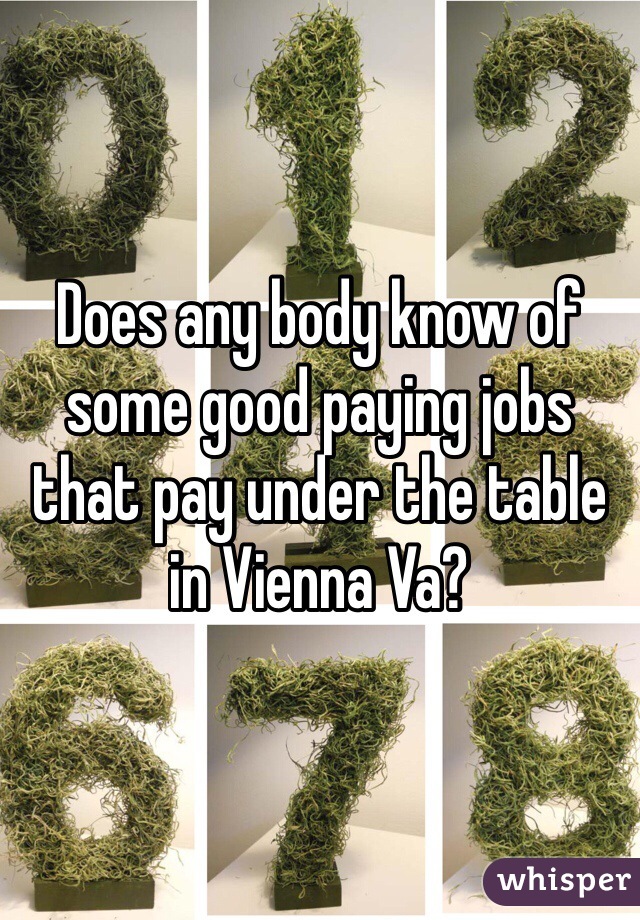 Does any body know of some good paying jobs that pay under the table in Vienna Va?