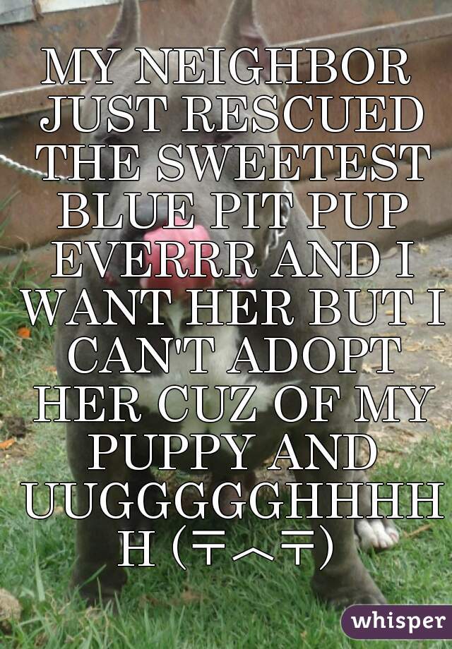 MY NEIGHBOR JUST RESCUED THE SWEETEST BLUE PIT PUP EVERRR AND I WANT HER BUT I CAN'T ADOPT HER CUZ OF MY PUPPY AND UUGGGGGHHHHH (〒︿〒)