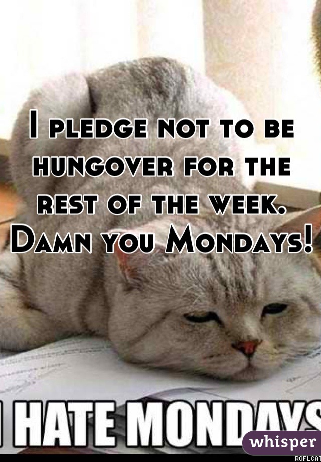 I pledge not to be hungover for the rest of the week. Damn you Mondays!