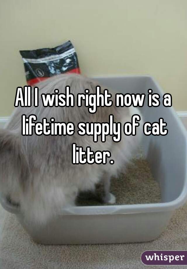 All I wish right now is a lifetime supply of cat litter. 