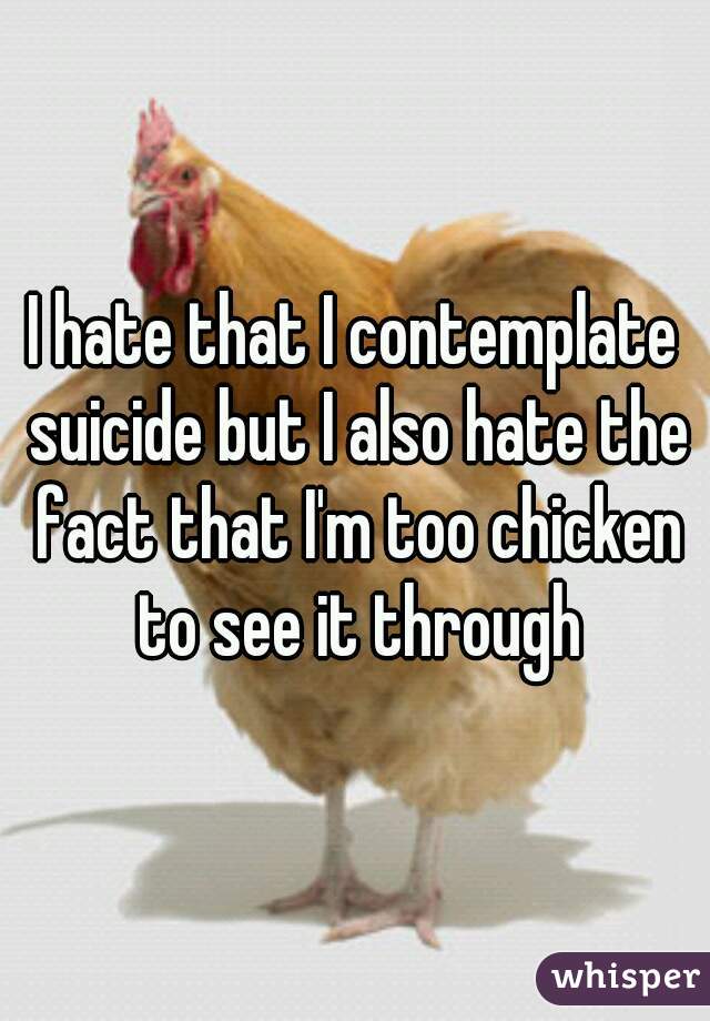 I hate that I contemplate suicide but I also hate the fact that I'm too chicken to see it through