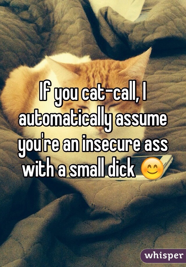 If you cat-call, I automatically assume you're an insecure ass with a small dick 😊