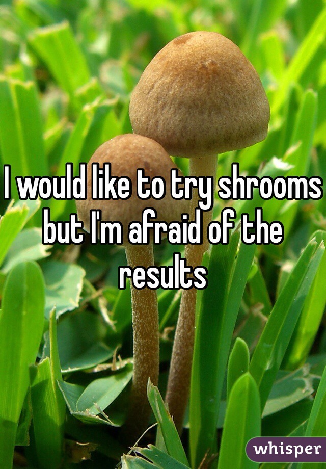 I would like to try shrooms but I'm afraid of the results
