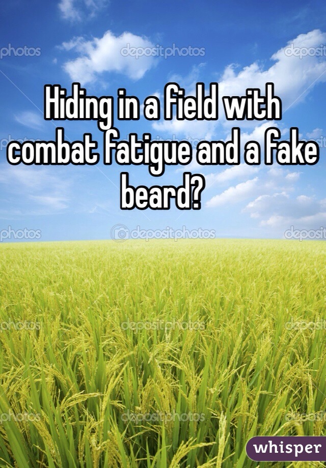 Hiding in a field with combat fatigue and a fake beard?