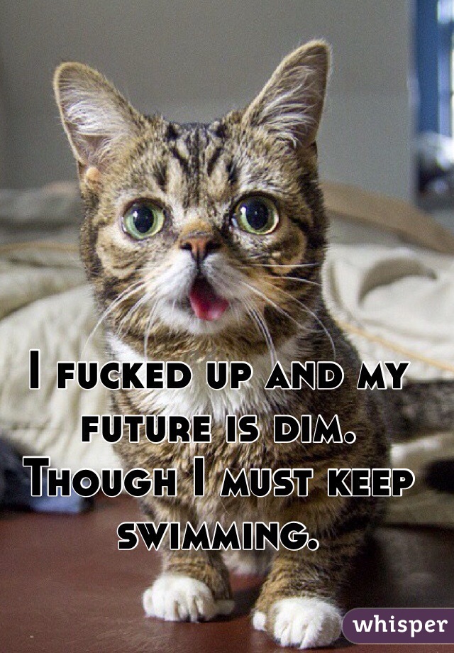 I fucked up and my future is dim. Though I must keep swimming.